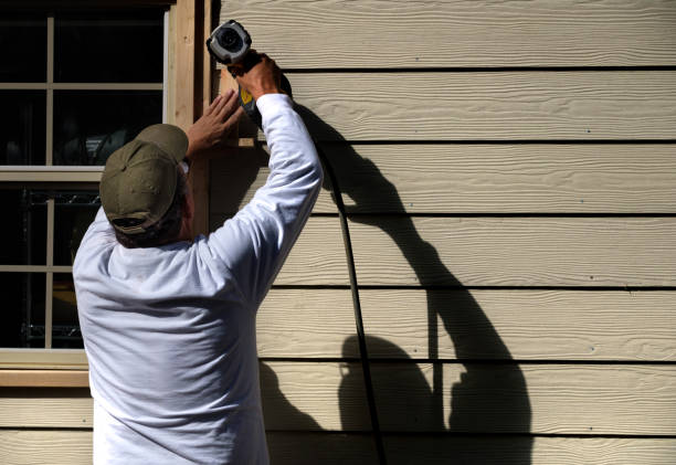 Affordable Siding Repair and Maintenance Services in Trenton, IL