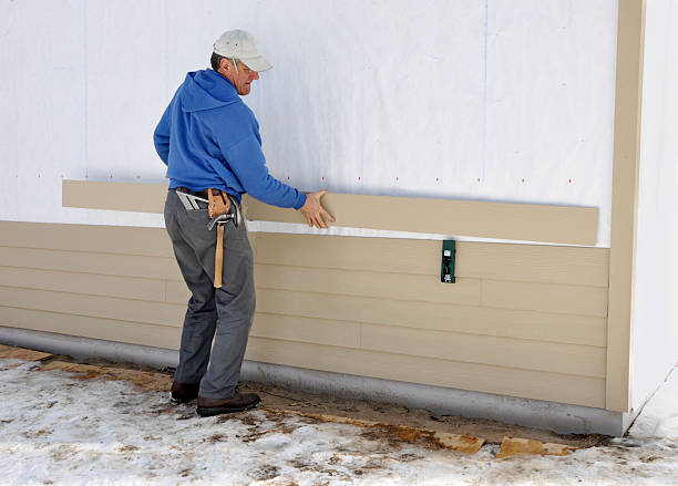 Best Vinyl Siding Installation  in Trenton, IL