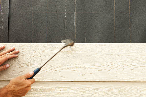 Best Siding Removal and Disposal  in Trenton, IL